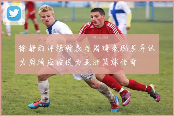 徐静雨评杨瀚森与周琦表现差异认为周琦应被视为亚洲篮球传奇