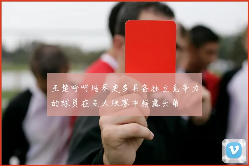 王楚呼吁培养更多具备独立竞争力的球员在五大联赛中崭露头角